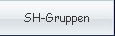 SH-Gruppen